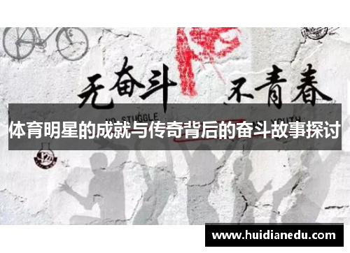 体育明星的成就与传奇背后的奋斗故事探讨